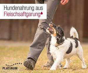 3a391d31-e7d8-43b5-8c2c-abd2e6a64196