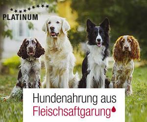 609b80f9-9cf8-4808-b838-ecc2784690ae